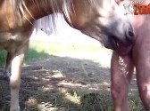 Cavalo Chupando o Fazendeiro do Pinto Gostoso