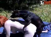 Cachorro negão fazendo Video Porno Animais no mato