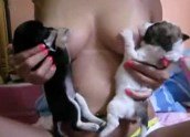 Grávida tetuda amamentando dois filhotes de cachorro