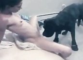 Cachorro lambe a bucetinha gostosa da dona