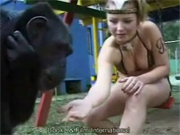 Macaco peludo abrindo a buceta de uma loira peituda