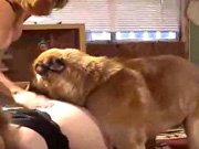 Filme porno de gordas trepando com cachorro