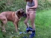 Puta gostosa fazendo sexo tarado com cachorro