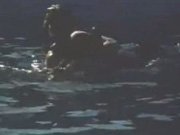 Mulher fazendo sexo com golfinho dentro da piscina