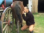 Gay mamando no cacete do cavalo